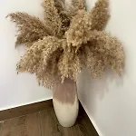 Cantinho D'aldeia * 과르다