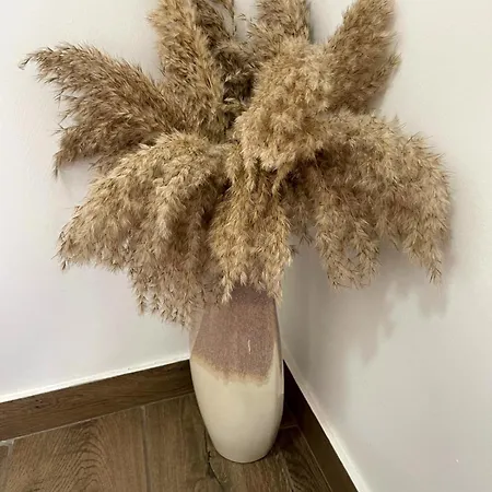 Cantinho D'aldeia * Guarda