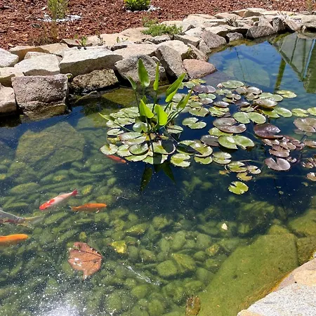 Cantinho D'aldeia Casa de Férias Guarda