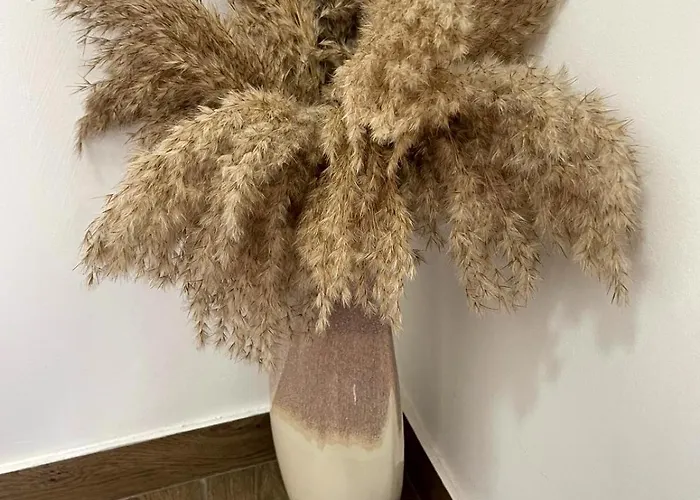 Cantinho D'aldeia * Guarda