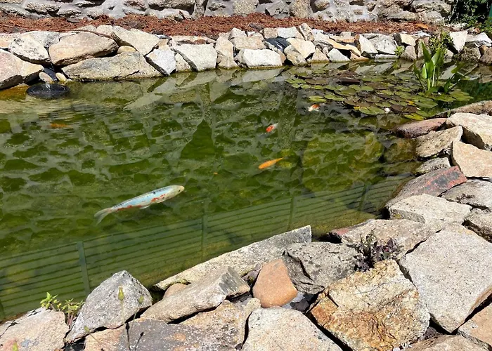 Holiday home Cantinho D'aldeia *