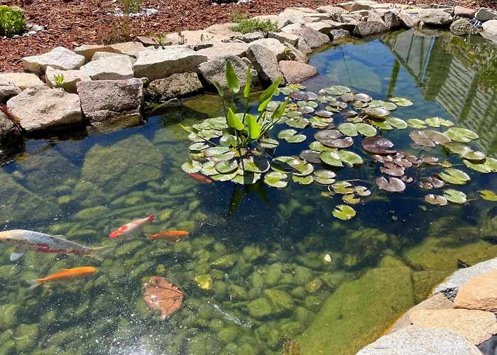 Cantinho D'aldeia Casa vacanze Guarda